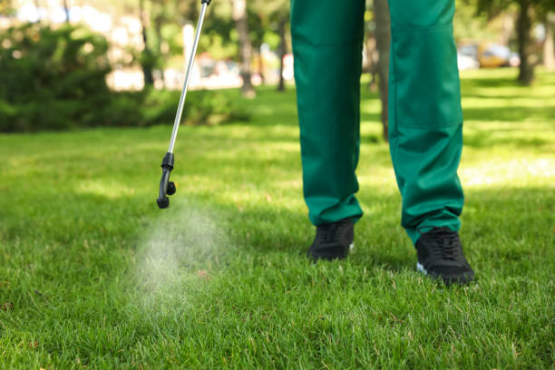 Best Exterminator Services  in Owensboro, KY